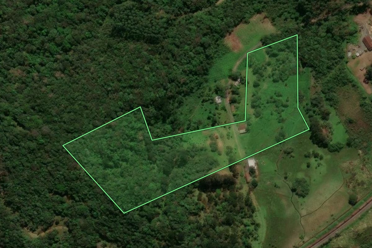 Imagem de satélite do imóvel rural em São Bento do Sul (SC), com o contorno declarado no CAR desenhado por cima.