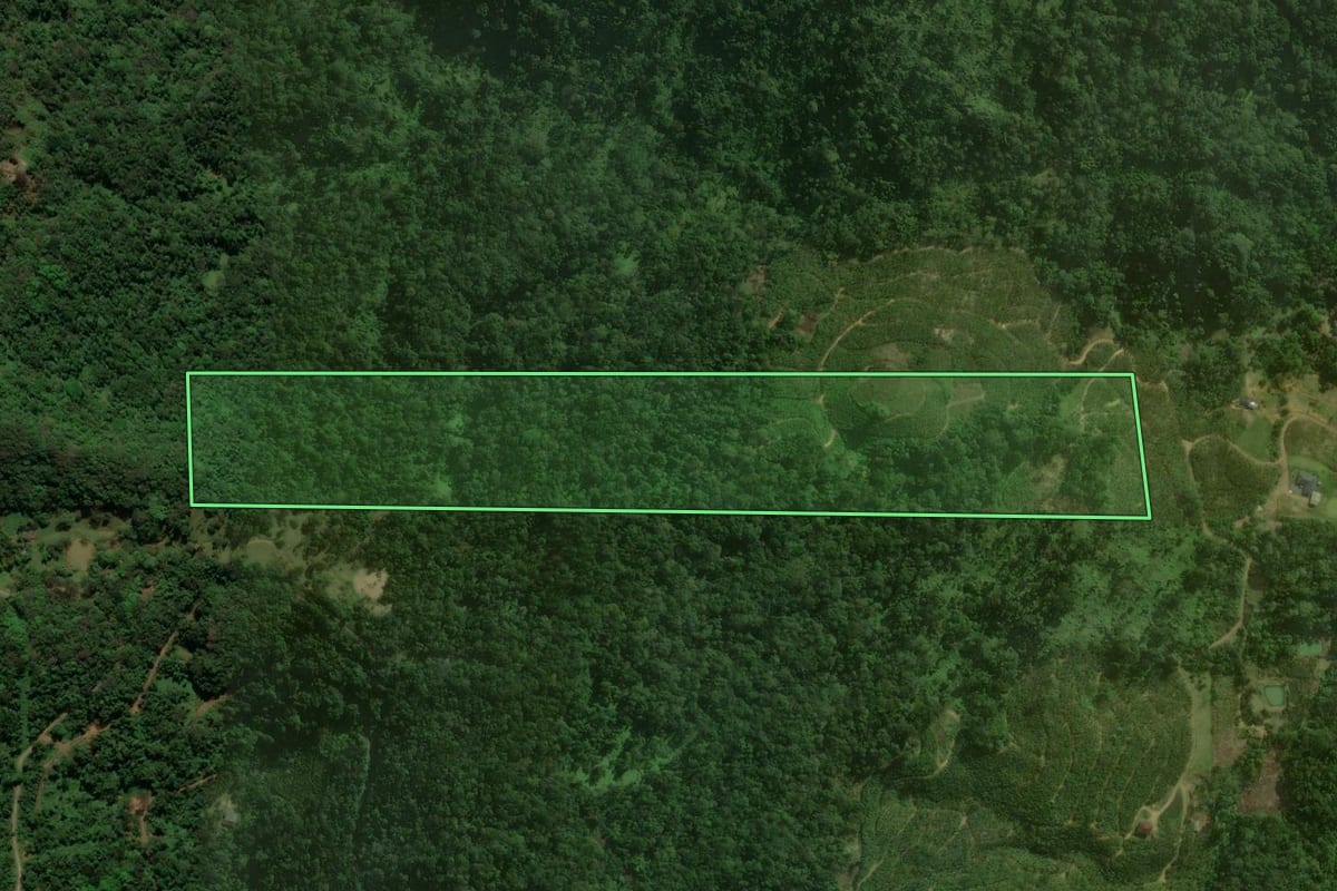 Imagem de satélite do imóvel rural em São Bento do Sul (SC), com o contorno declarado no CAR desenhado por cima.