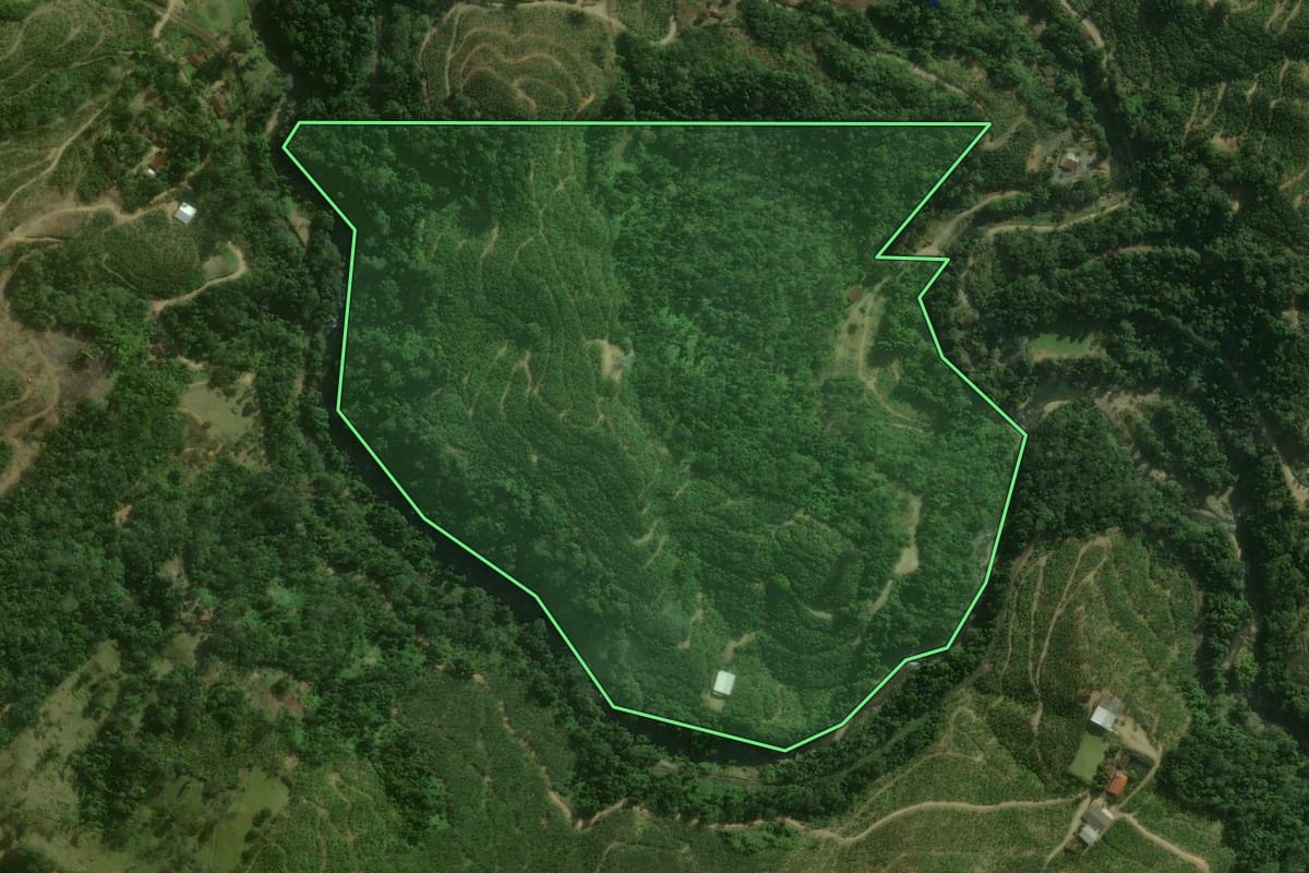 Imagem de satélite do imóvel rural em São Bento do Sul (SC), com o contorno declarado no CAR desenhado por cima.