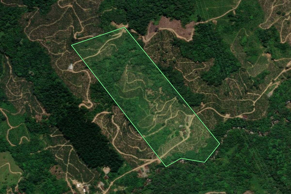 Imagem de satélite do imóvel rural em São Bento do Sul (SC), com o contorno declarado no CAR desenhado por cima.