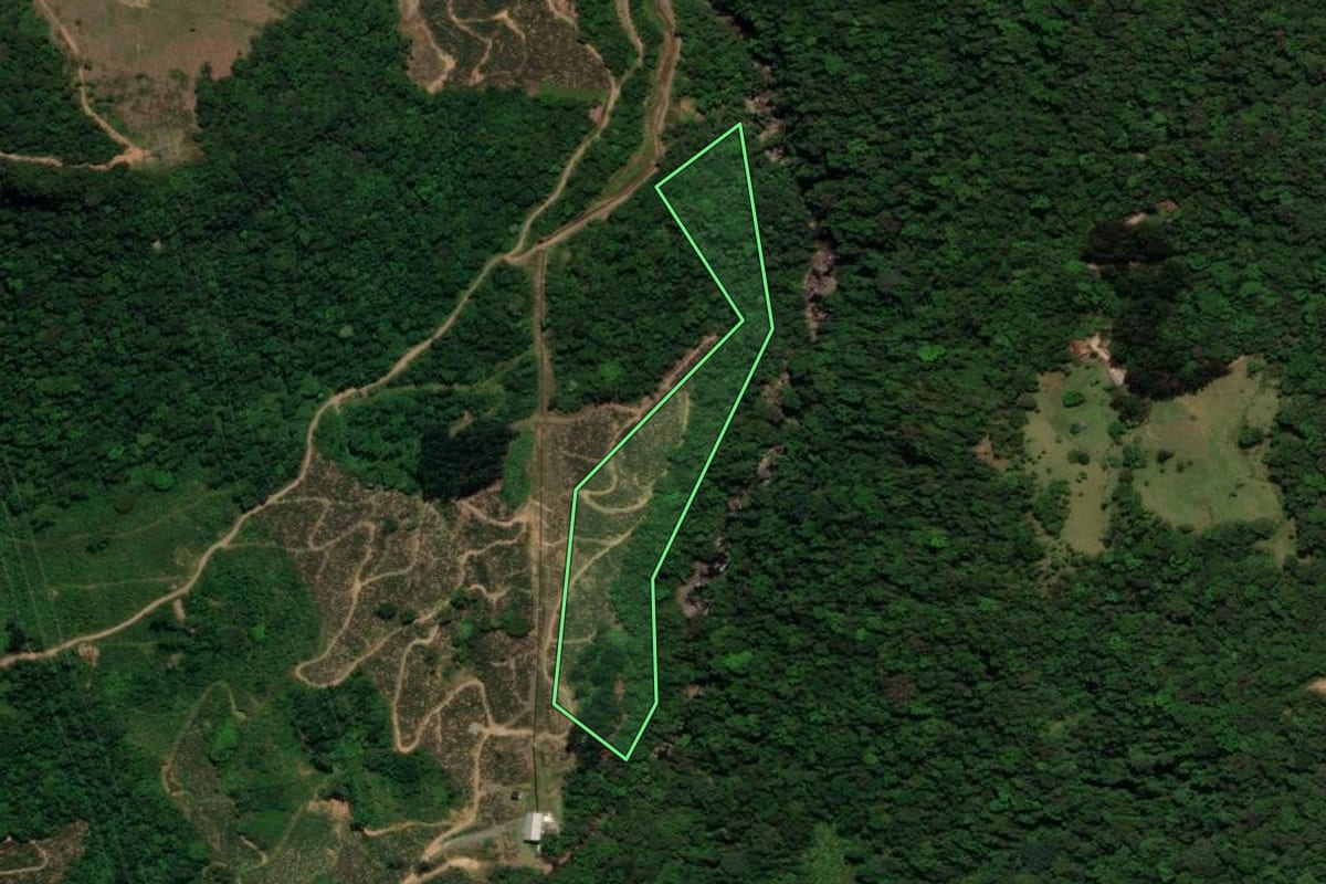 Imagem de satélite do imóvel rural em São Bento do Sul (SC), com o contorno declarado no CAR desenhado por cima.