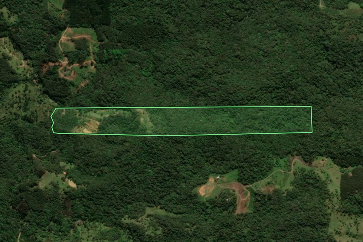 Imagem de satélite do imóvel rural em São Bento do Sul (SC), com o contorno declarado no CAR desenhado por cima.