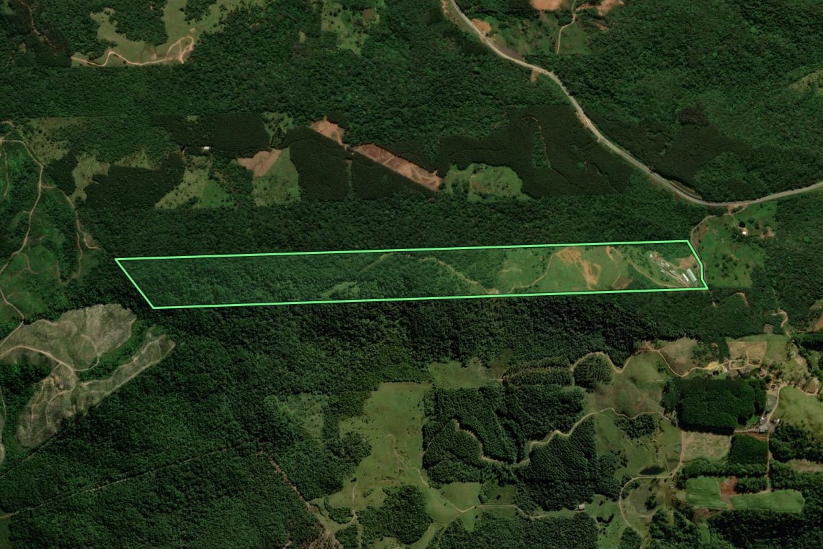 Imagem de satélite do imóvel rural em São Bento do Sul (SC), com o contorno declarado no CAR desenhado por cima.