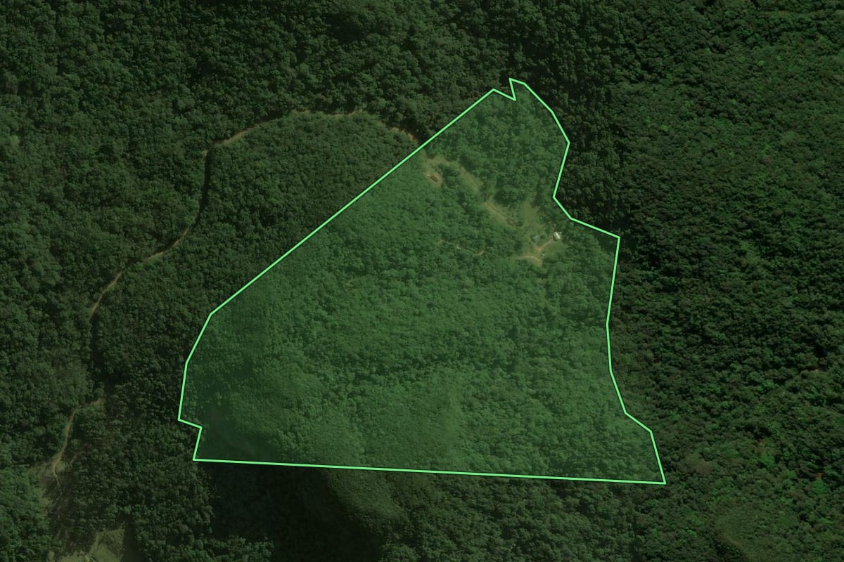 Imagem de satélite do imóvel rural em São Bento do Sul (SC), com o contorno declarado no CAR desenhado por cima.