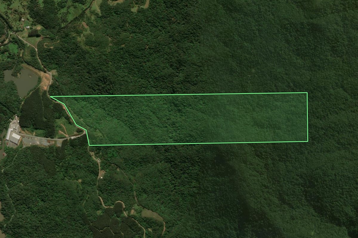 Imagem de satélite do imóvel rural em São Bento do Sul (SC), com o contorno declarado no CAR desenhado por cima.
