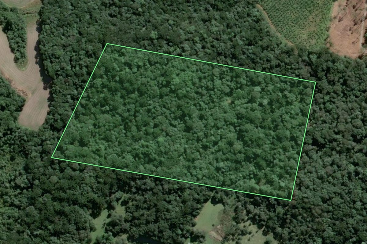 Imagem de satélite do imóvel rural em São Bento do Sul (SC), com o contorno declarado no CAR desenhado por cima.