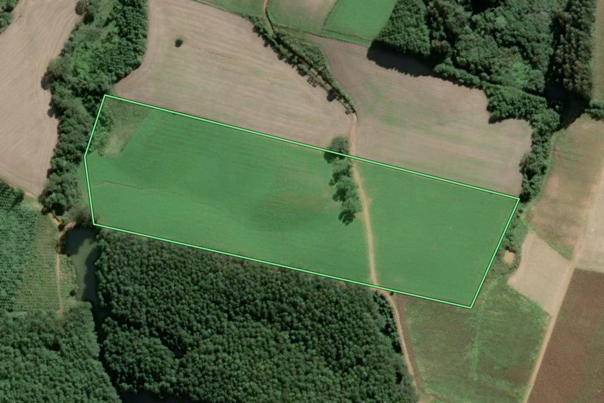 Imagem de satélite do imóvel rural em São Bento do Sul (SC), com o contorno declarado no CAR desenhado por cima.