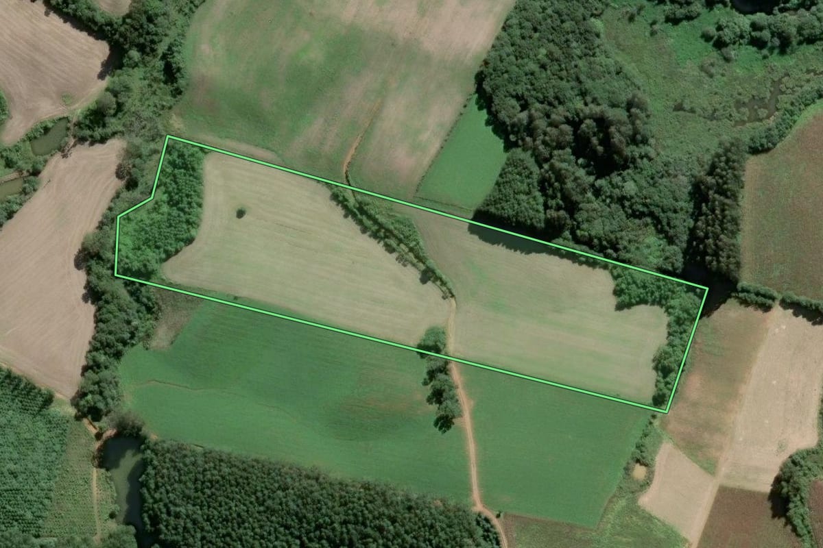 Imagem de satélite do imóvel rural em São Bento do Sul (SC), com o contorno declarado no CAR desenhado por cima.