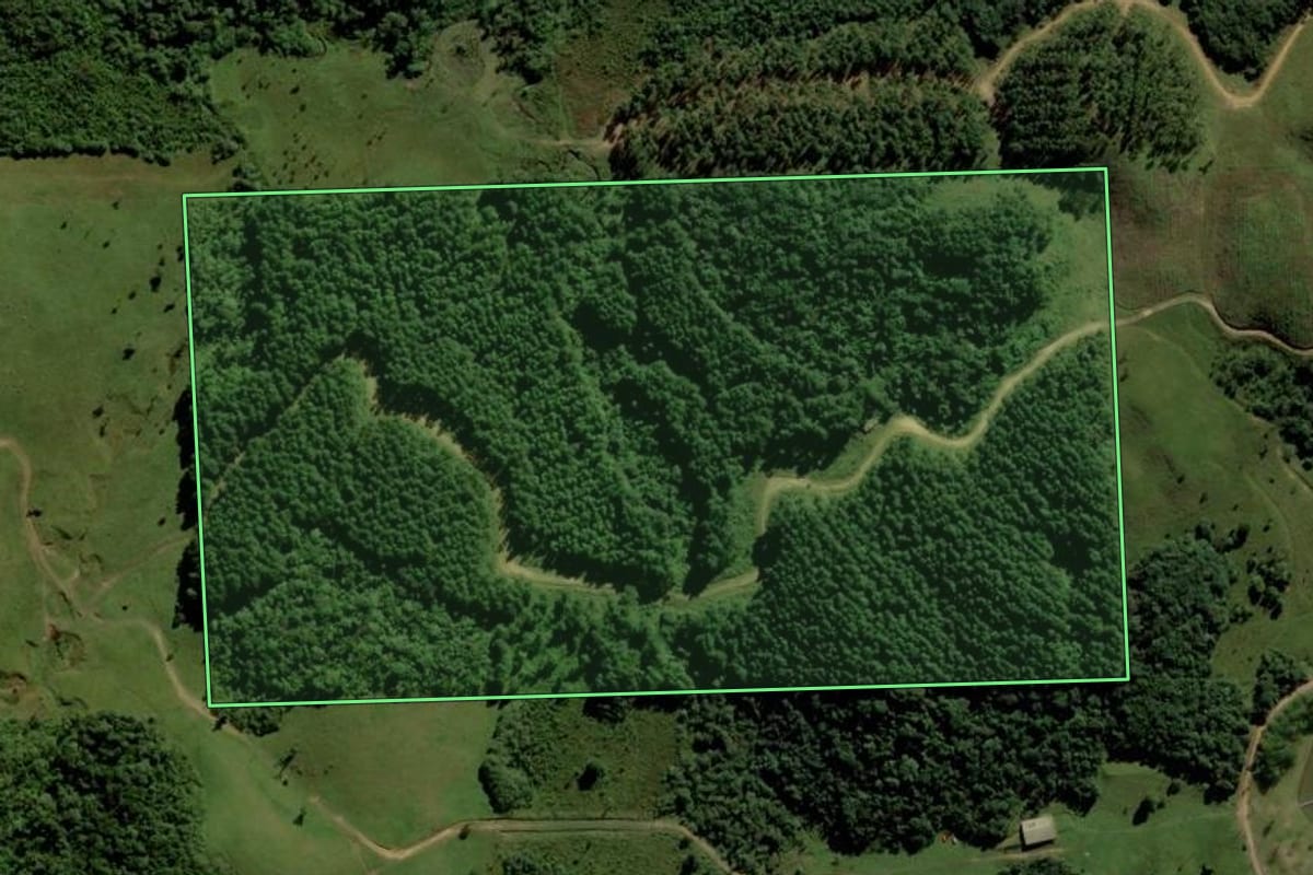 Imagem de satélite do imóvel rural em São Bento do Sul (SC), com o contorno declarado no CAR desenhado por cima.