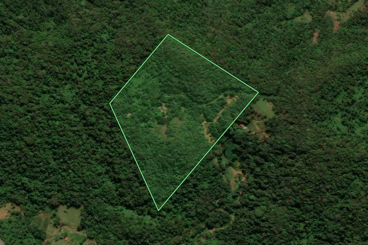 Imagem de satélite do imóvel rural em São Bento do Sul (SC), com o contorno declarado no CAR desenhado por cima.