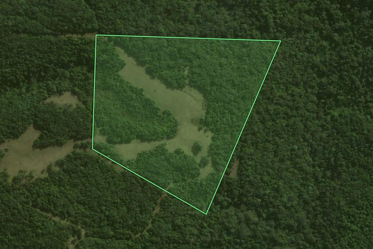 Imagem de satélite do imóvel rural em São Bento do Sul (SC), com o contorno declarado no CAR desenhado por cima.