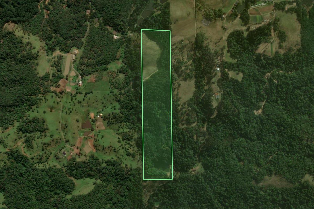 Imagem de satélite do imóvel rural em São Bento do Sul (SC), com o contorno declarado no CAR desenhado por cima.