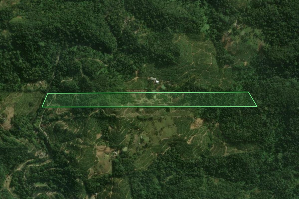 Imagem de satélite do imóvel rural em São Bento do Sul (SC), com o contorno declarado no CAR desenhado por cima.