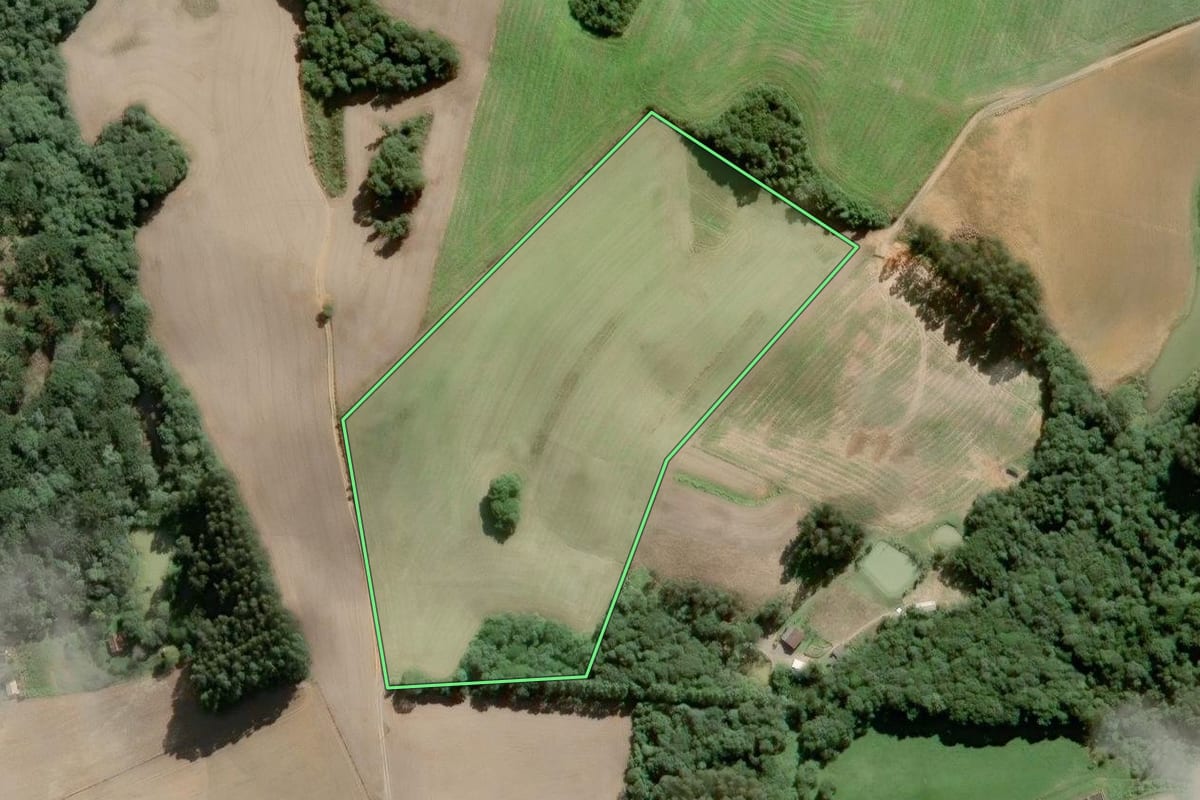 Imagem de satélite do imóvel rural em São Bento do Sul (SC), com o contorno declarado no CAR desenhado por cima.