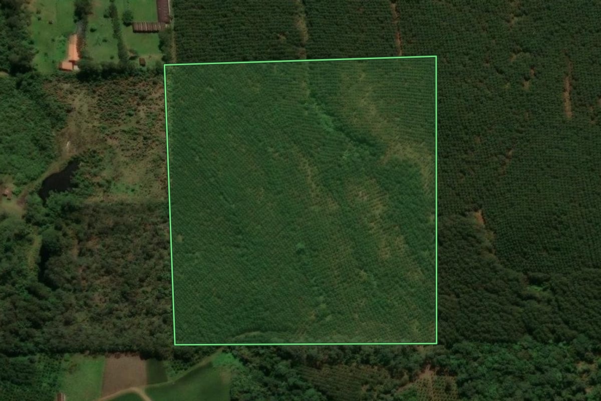 Imagem de satélite do imóvel rural em São Bento do Sul (SC), com o contorno declarado no CAR desenhado por cima.