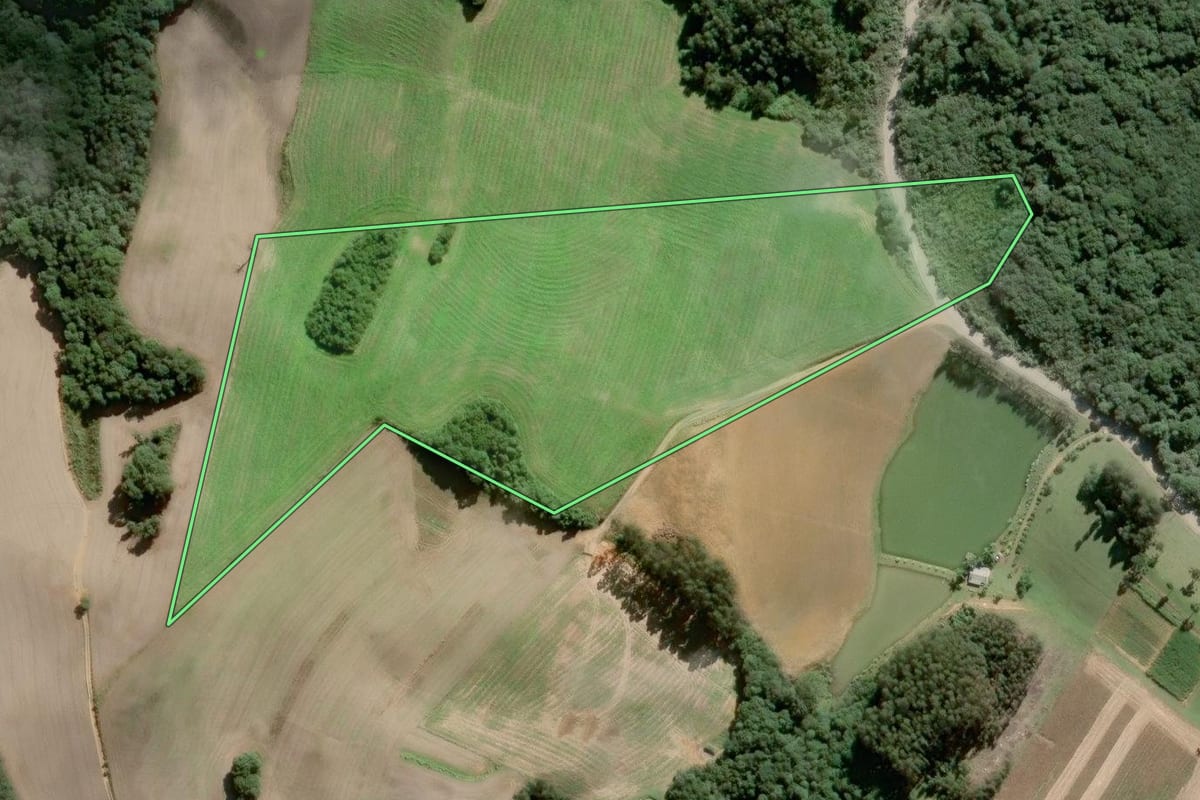 Imagem de satélite do imóvel rural em São Bento do Sul (SC), com o contorno declarado no CAR desenhado por cima.
