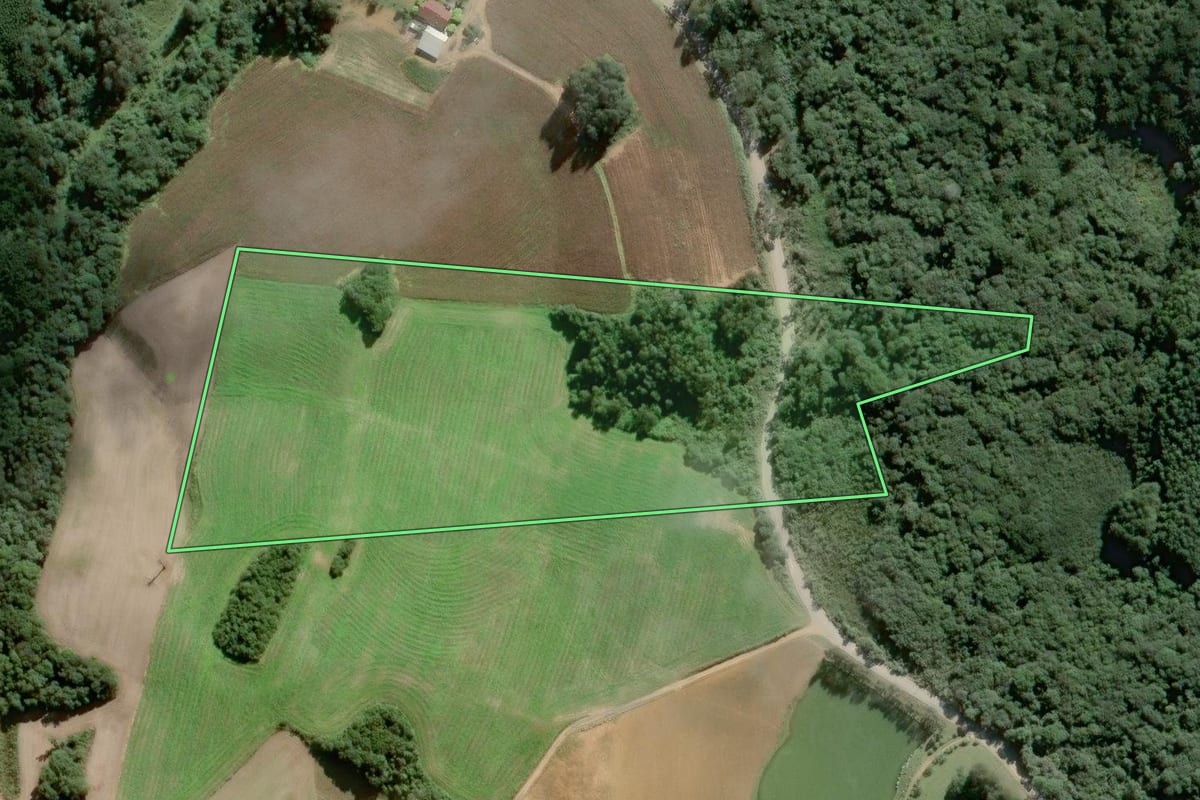 Imagem de satélite do imóvel rural em São Bento do Sul (SC), com o contorno declarado no CAR desenhado por cima.