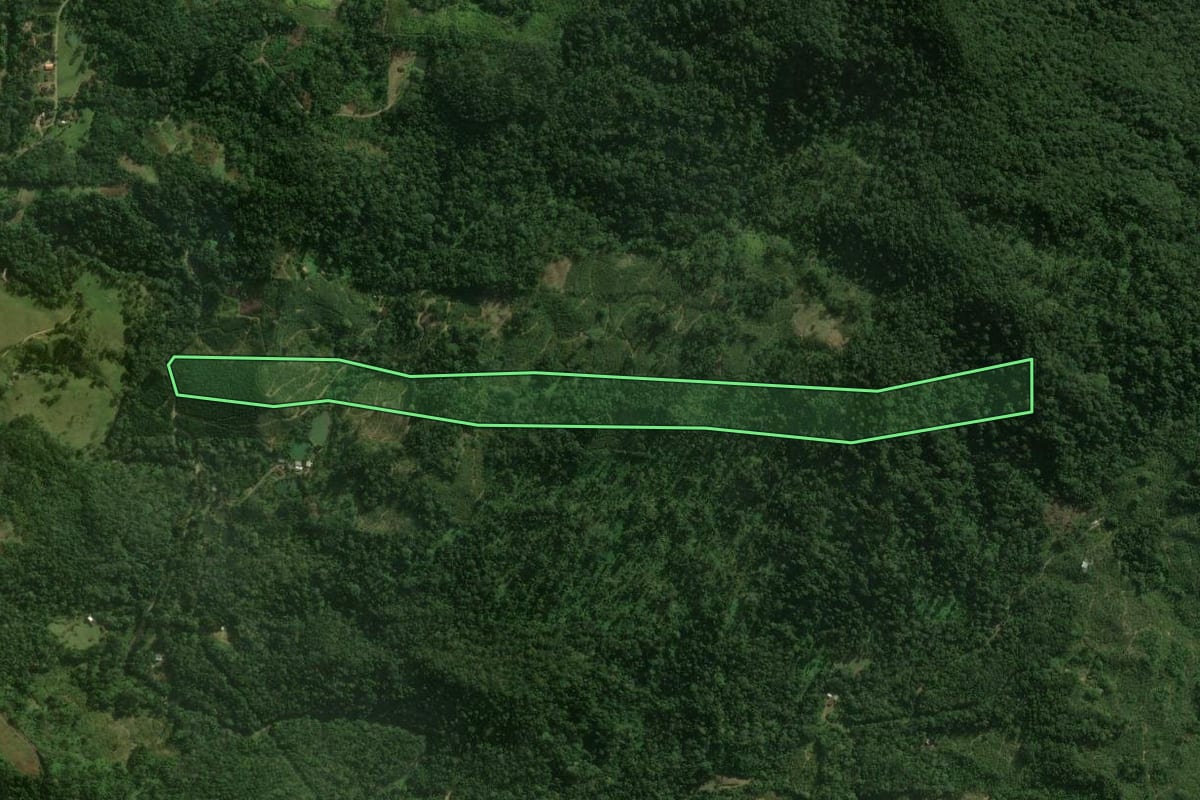 Imagem de satélite do imóvel rural em São Bento do Sul (SC), com o contorno declarado no CAR desenhado por cima.