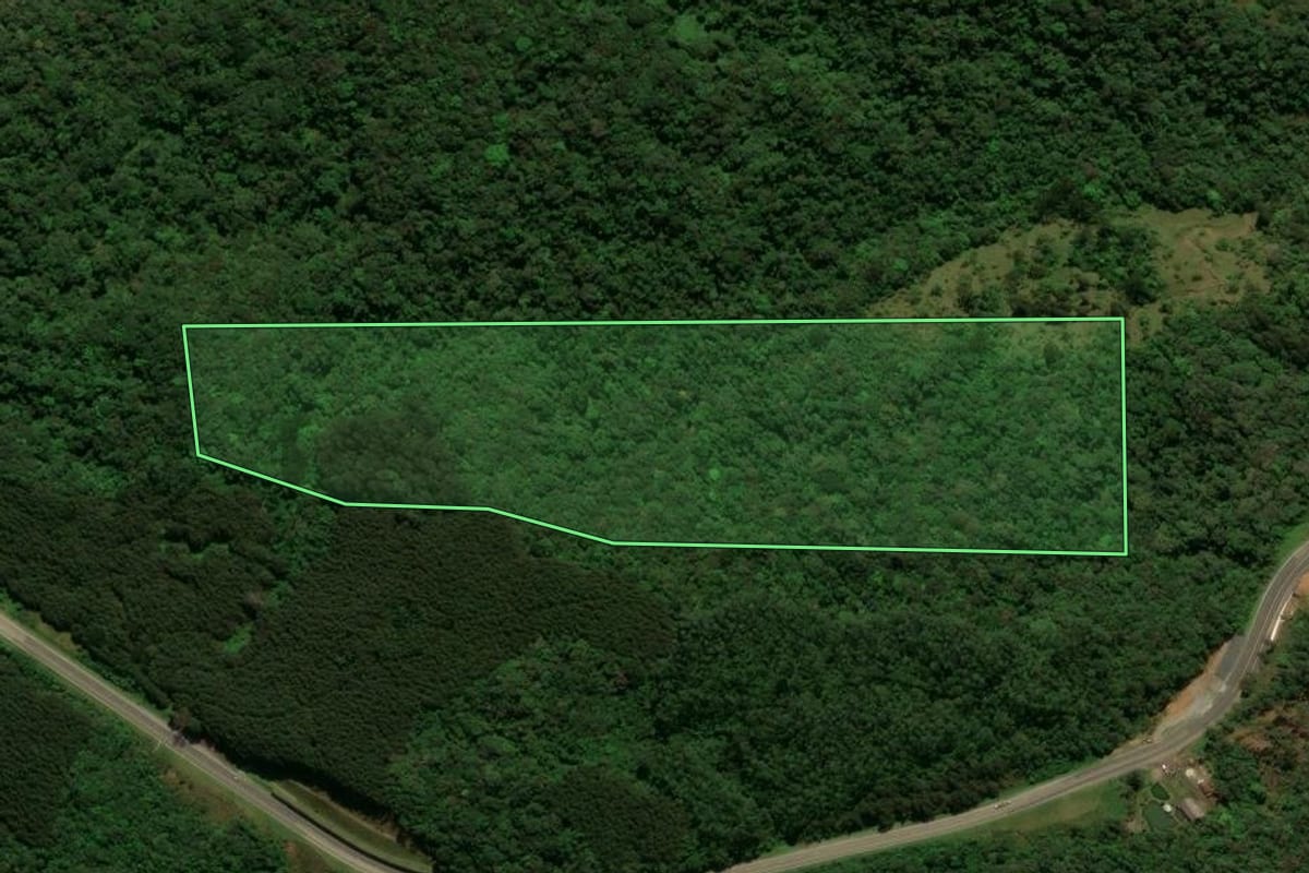Imagem de satélite do imóvel rural em São Bento do Sul (SC), com o contorno declarado no CAR desenhado por cima.