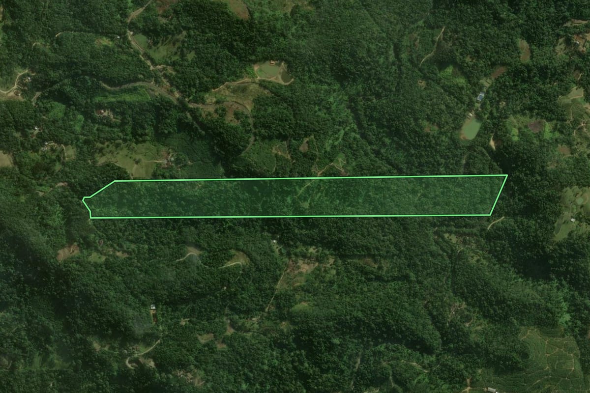 Imagem de satélite do imóvel rural em São Bento do Sul (SC), com o contorno declarado no CAR desenhado por cima.