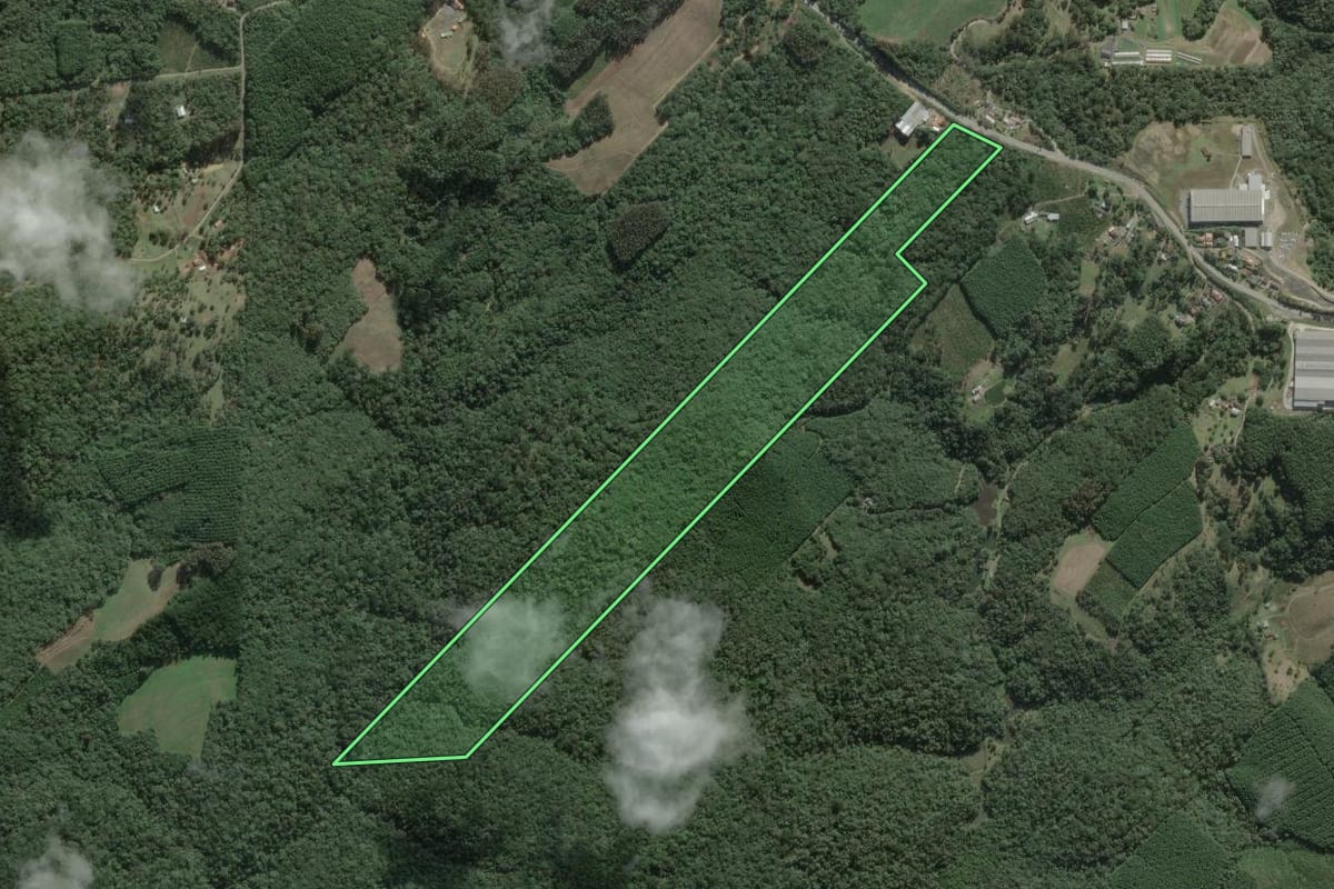 Imagem de satélite do imóvel rural em São Bento do Sul (SC), com o contorno declarado no CAR desenhado por cima.