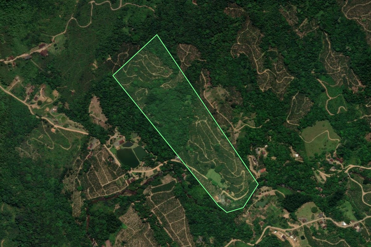 Imagem de satélite do imóvel rural em São Bento do Sul (SC), com o contorno declarado no CAR desenhado por cima.