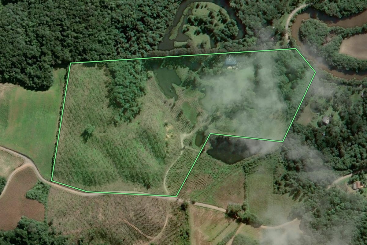 Imagem de satélite do imóvel rural em São Bento do Sul (SC), com o contorno declarado no CAR desenhado por cima.