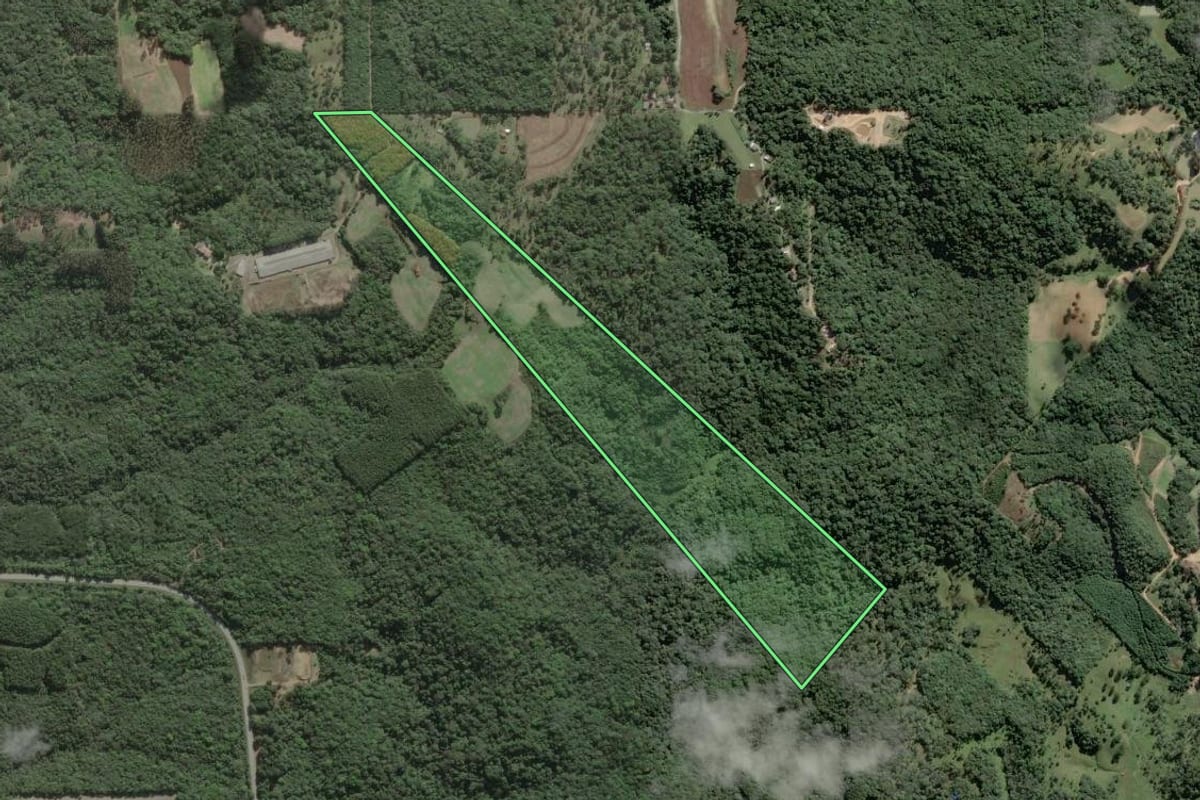 Imagem de satélite do imóvel rural em São Bento do Sul (SC), com o contorno declarado no CAR desenhado por cima.
