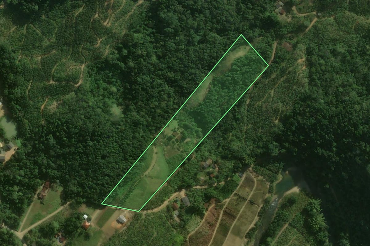 Imagem de satélite do imóvel rural em São Bento do Sul (SC), com o contorno declarado no CAR desenhado por cima.
