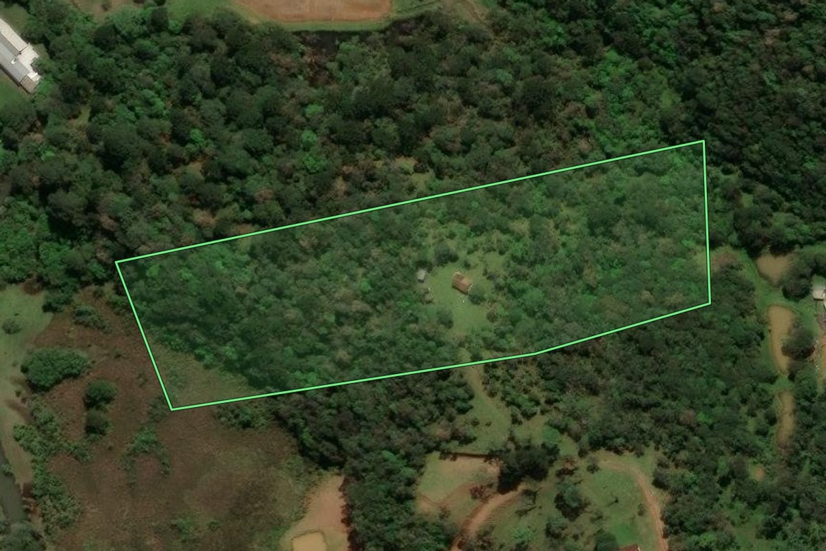 Imagem de satélite do imóvel rural em São Bento do Sul (SC), com o contorno declarado no CAR desenhado por cima.