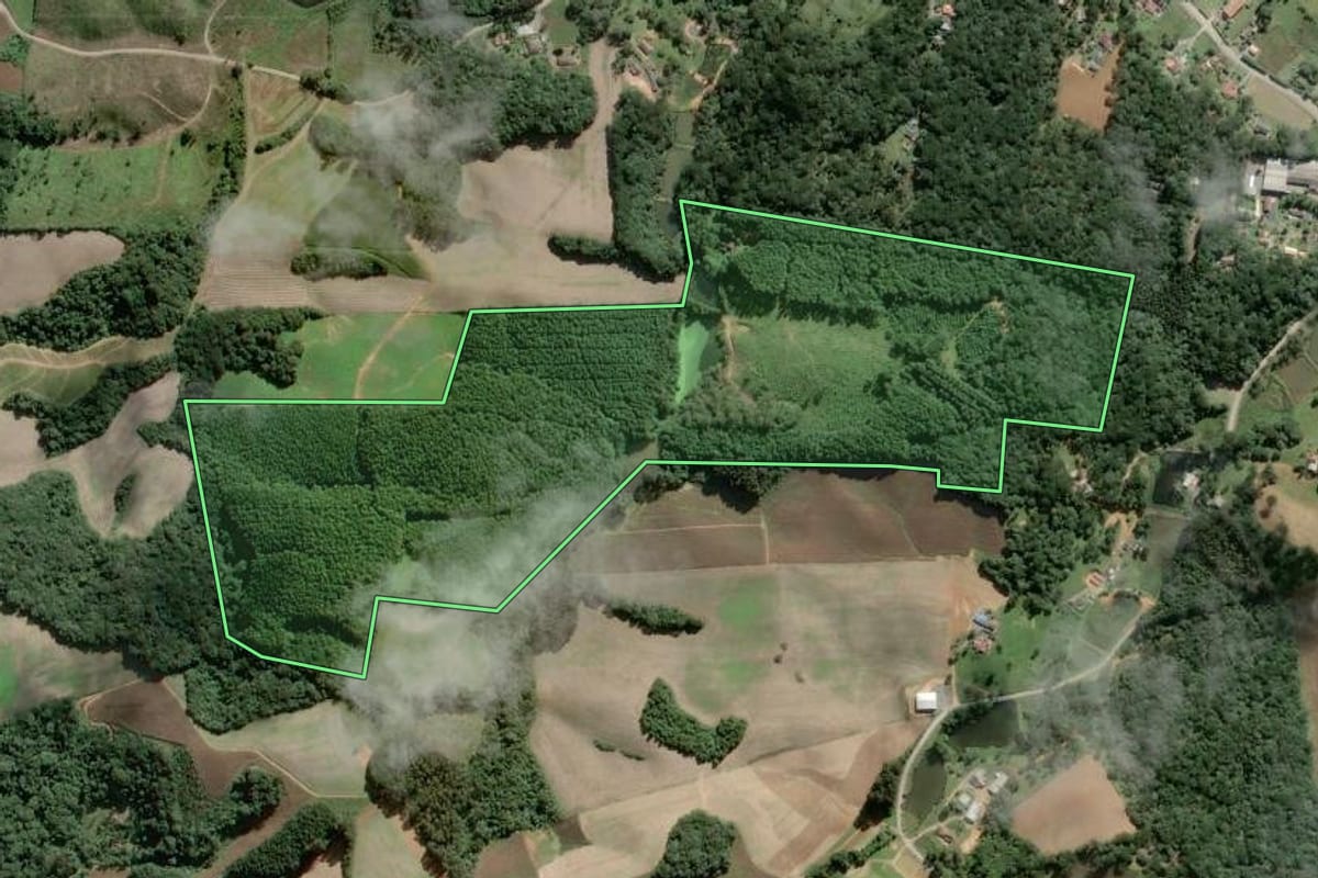 Imagem de satélite do imóvel rural em São Bento do Sul (SC), com o contorno declarado no CAR desenhado por cima.