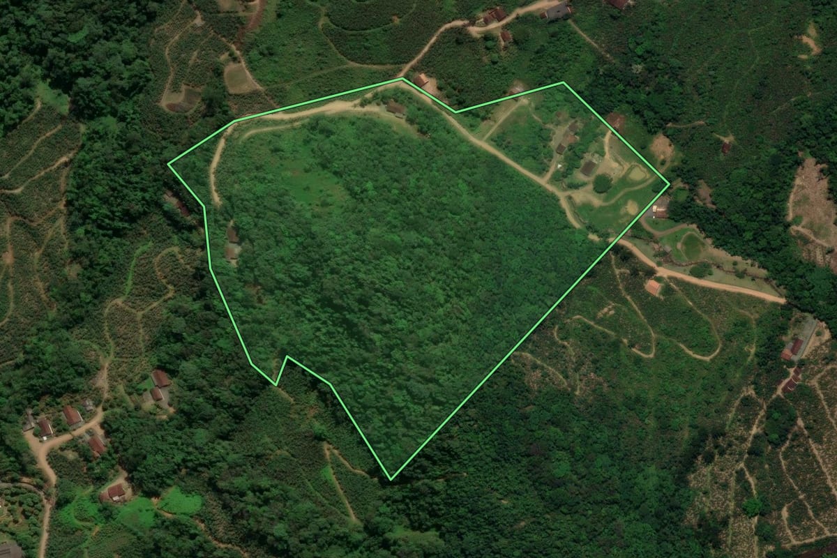 Imagem de satélite do imóvel rural em São Bento do Sul (SC), com o contorno declarado no CAR desenhado por cima.