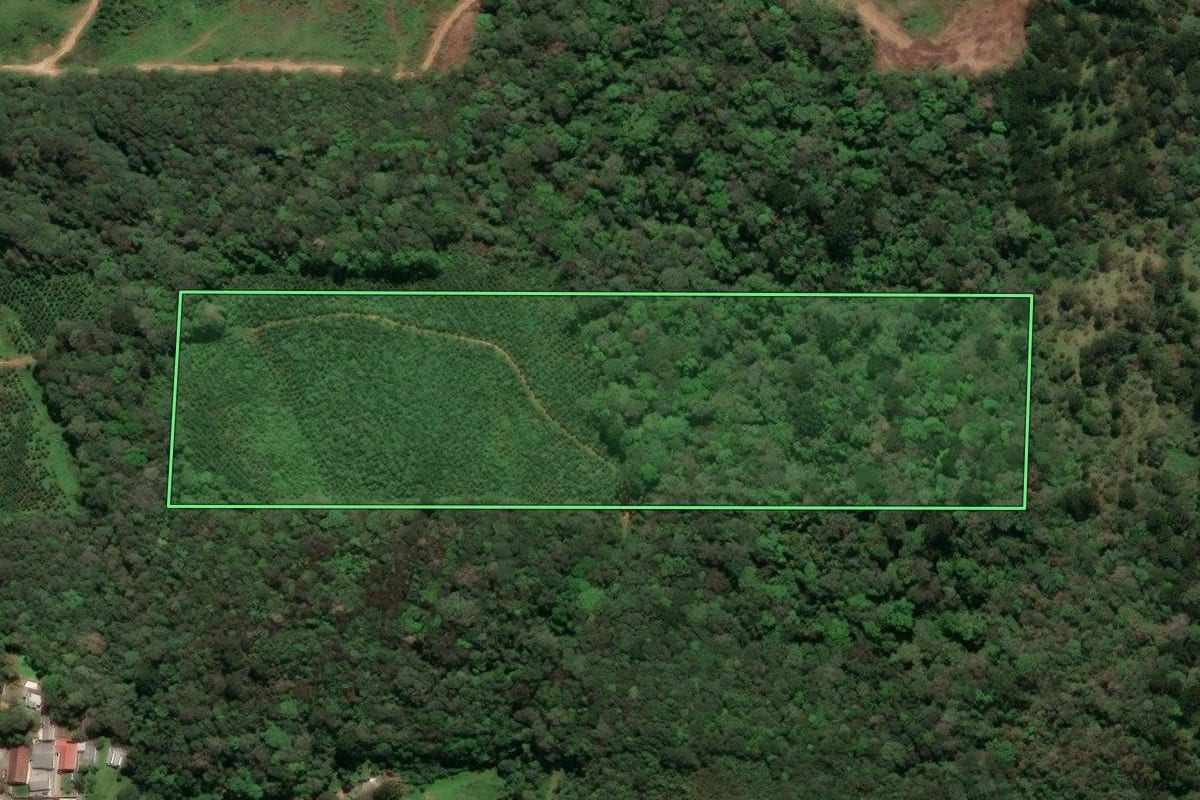 Imagem de satélite do imóvel rural em São Bento do Sul (SC), com o contorno declarado no CAR desenhado por cima.
