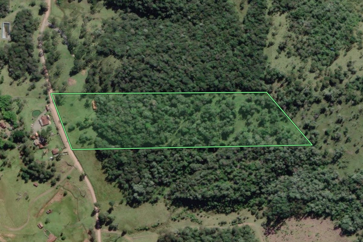 Imagem de satélite do imóvel rural em São Bento do Sul (SC), com o contorno declarado no CAR desenhado por cima.
