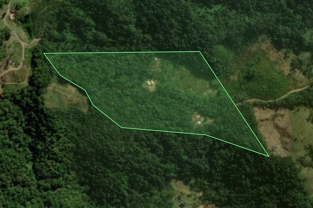 Imagem de satélite do imóvel rural em São Bento do Sul (SC), com o contorno declarado no CAR desenhado por cima.