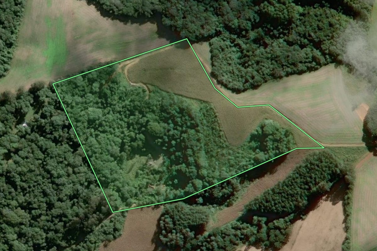 Imagem de satélite do imóvel rural em São Bento do Sul (SC), com o contorno declarado no CAR desenhado por cima.
