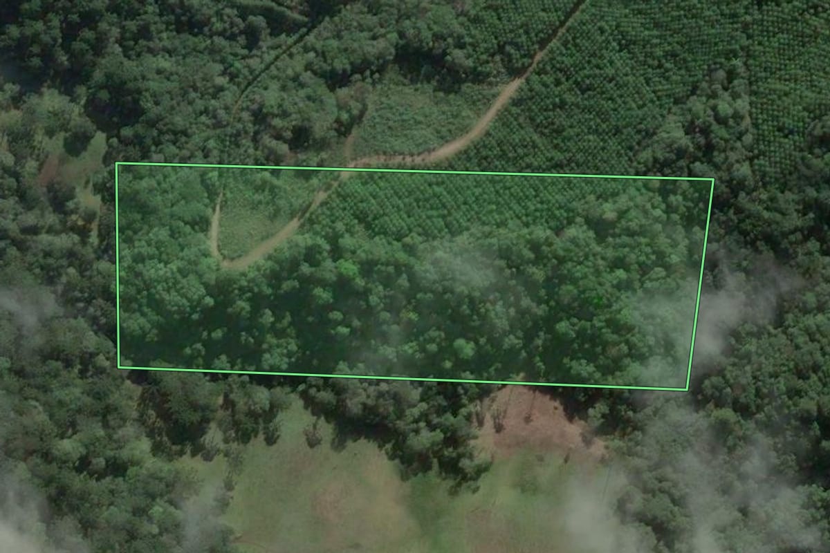 Imagem de satélite do imóvel rural em São Bento do Sul (SC), com o contorno declarado no CAR desenhado por cima.