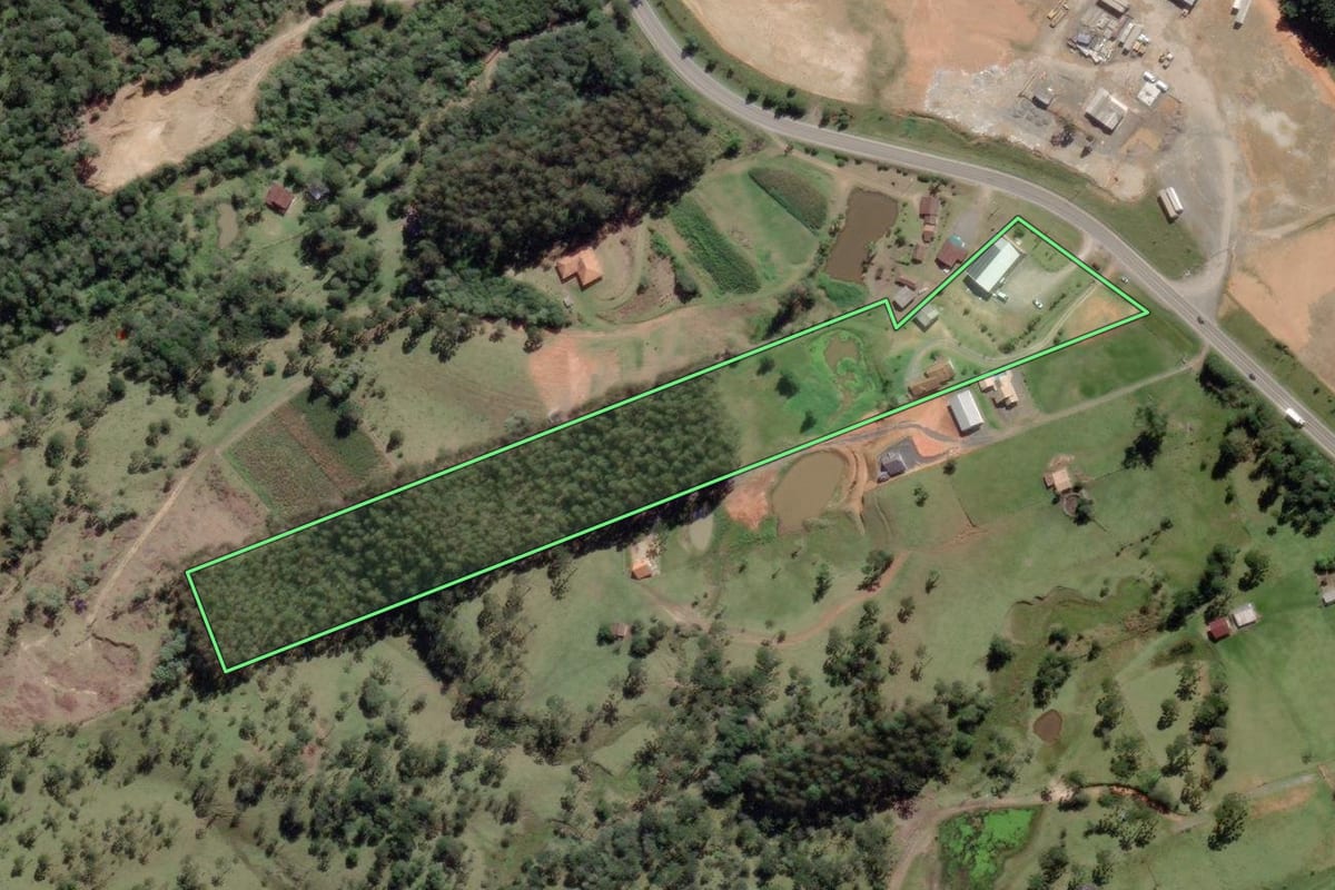 Imagem de satélite do imóvel rural em São Bento do Sul (SC), com o contorno declarado no CAR desenhado por cima.