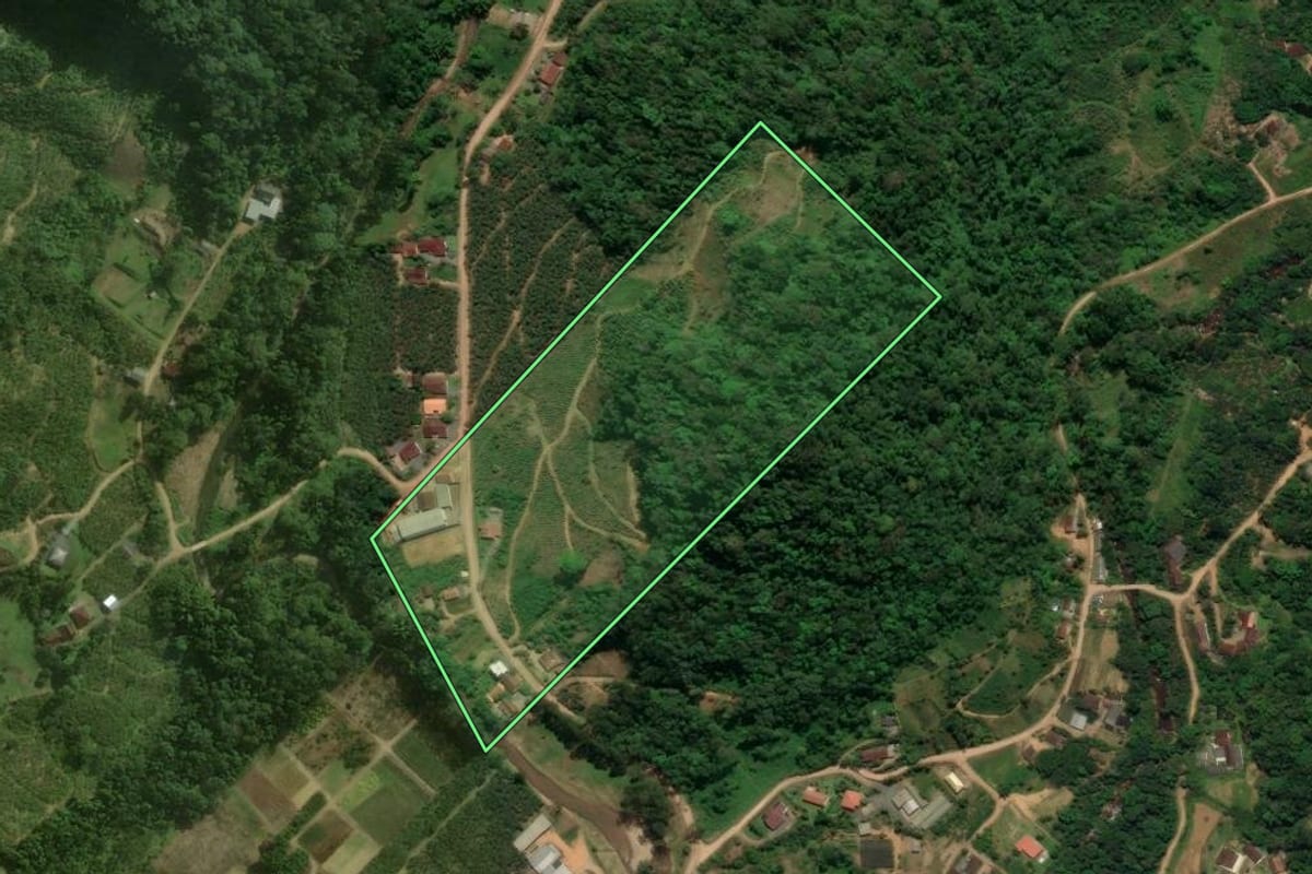 Imagem de satélite do imóvel rural em São Bento do Sul (SC), com o contorno declarado no CAR desenhado por cima.