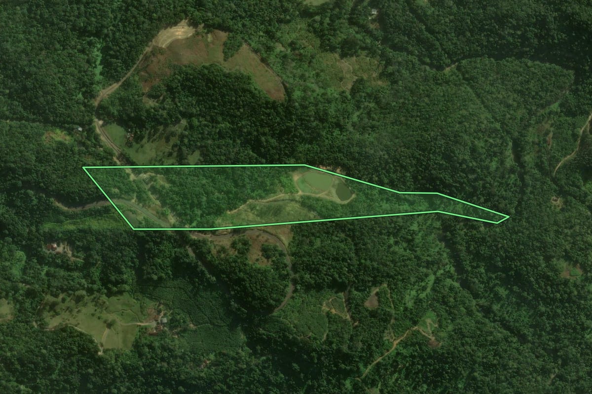 Imagem de satélite do imóvel rural em São Bento do Sul (SC), com o contorno declarado no CAR desenhado por cima.