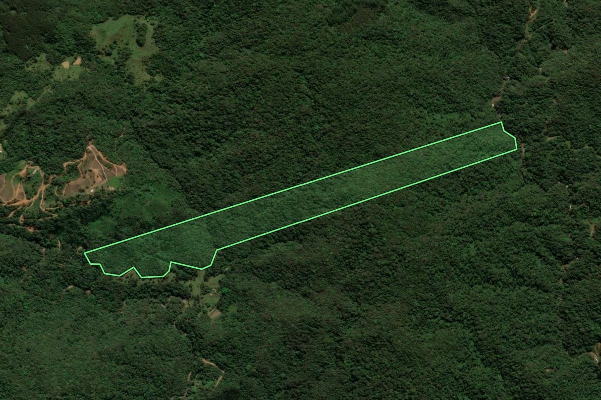Imagem de satélite do imóvel rural em São Bento do Sul (SC), com o contorno declarado no CAR desenhado por cima.