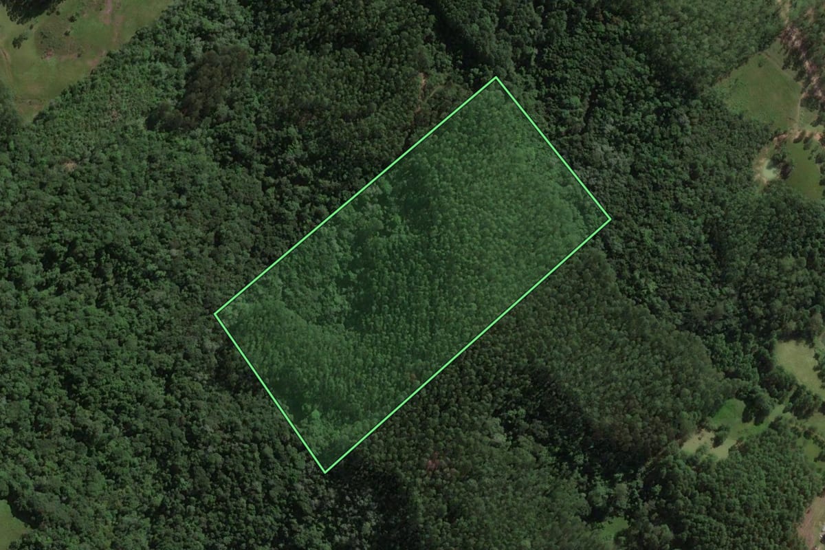 Imagem de satélite do imóvel rural em São Bonifácio (SC), com o contorno declarado no CAR desenhado por cima.