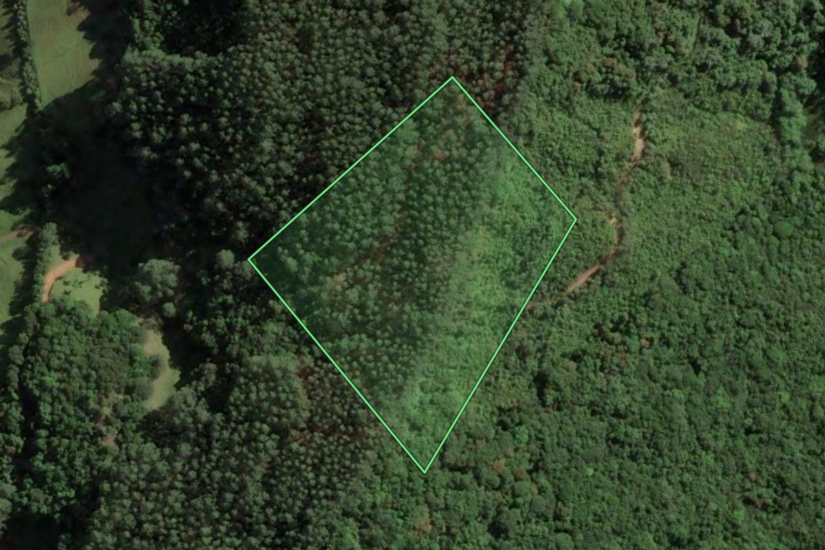 Imagem de satélite do imóvel rural em São Bonifácio (SC), com o contorno declarado no CAR desenhado por cima.