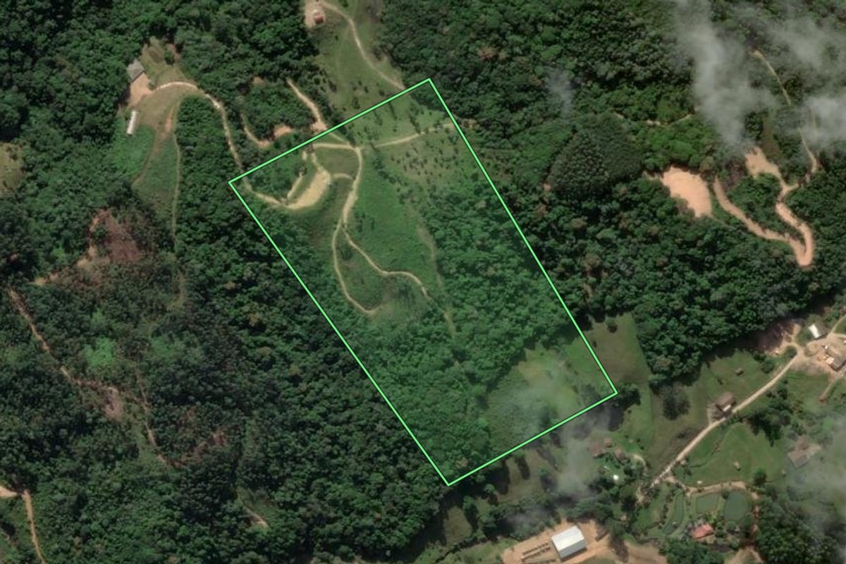 Imagem de satélite do imóvel rural em São Bonifácio (SC), com o contorno declarado no CAR desenhado por cima.