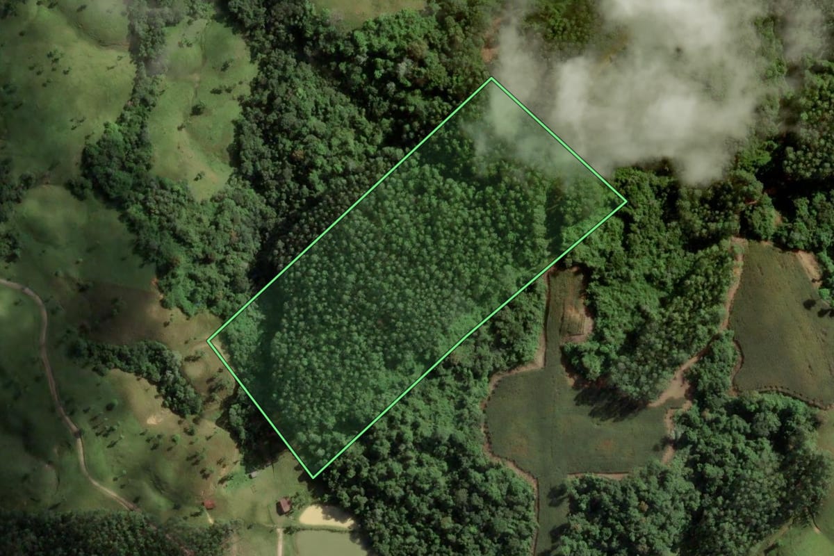 Imagem de satélite do imóvel rural em São Bonifácio (SC), com o contorno declarado no CAR desenhado por cima.