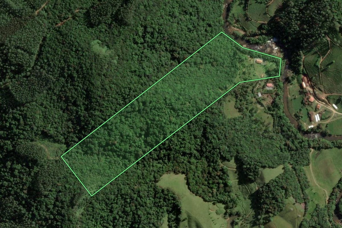 Imagem de satélite do imóvel rural em São Bonifácio (SC), com o contorno declarado no CAR desenhado por cima.
