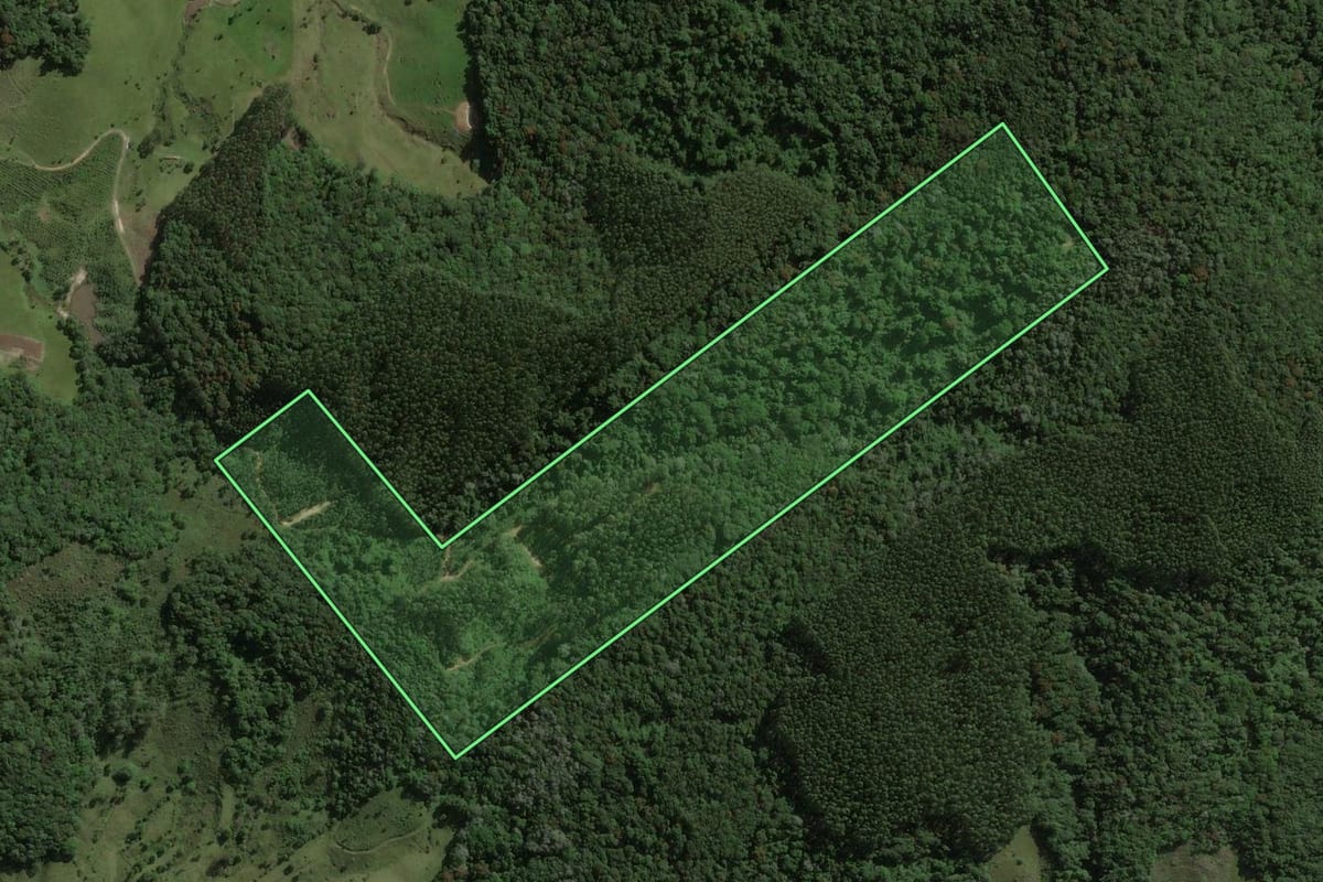 Imagem de satélite do imóvel rural em São Bonifácio (SC), com o contorno declarado no CAR desenhado por cima.