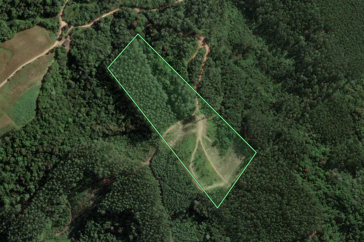 Imagem de satélite do imóvel rural em São Bonifácio (SC), com o contorno declarado no CAR desenhado por cima.