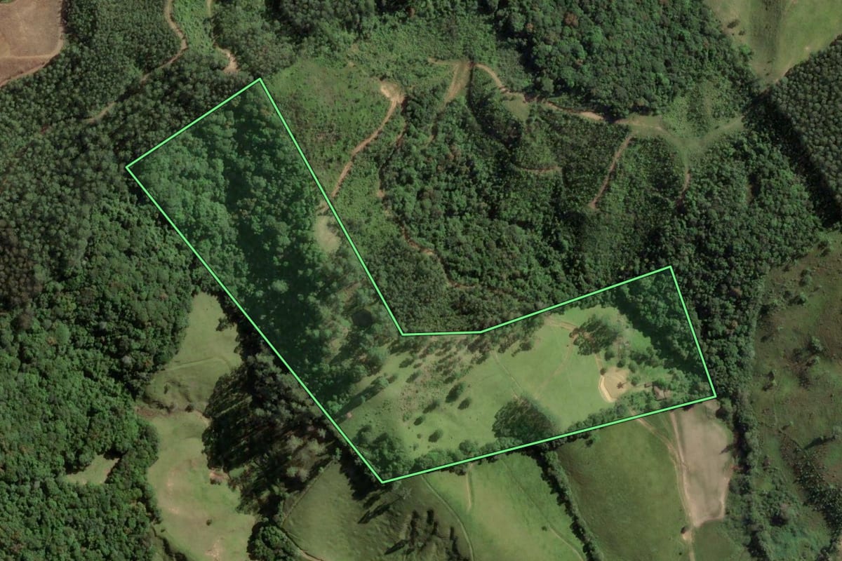 Imagem de satélite do imóvel rural em São Bonifácio (SC), com o contorno declarado no CAR desenhado por cima.