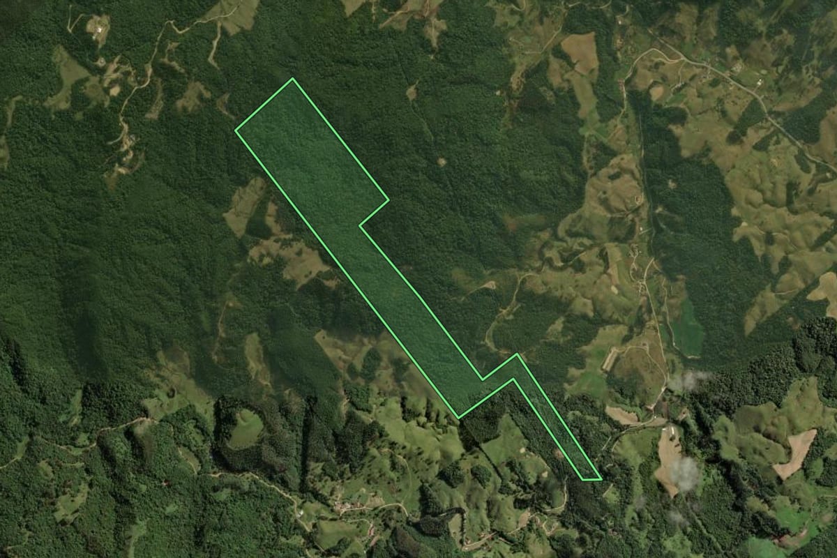 Imagem de satélite do imóvel rural em São Bonifácio (SC), com o contorno declarado no CAR desenhado por cima.